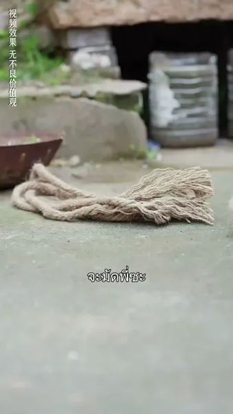 ได้เวลารักกับคุณชายเย็นชา