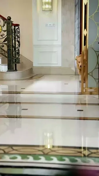 ภาพพรางรัก