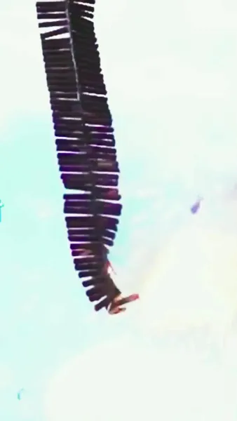 ลิขิตรักพระชายา