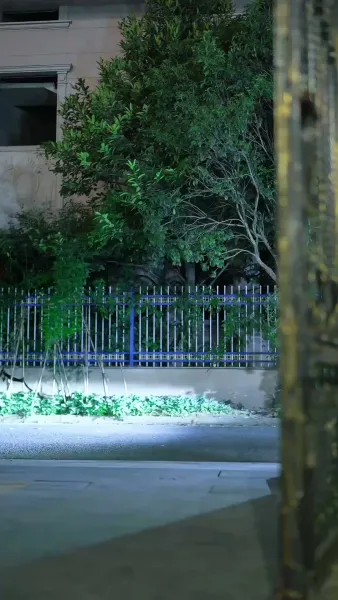 เธออีกครั้งในวัยเยาว์