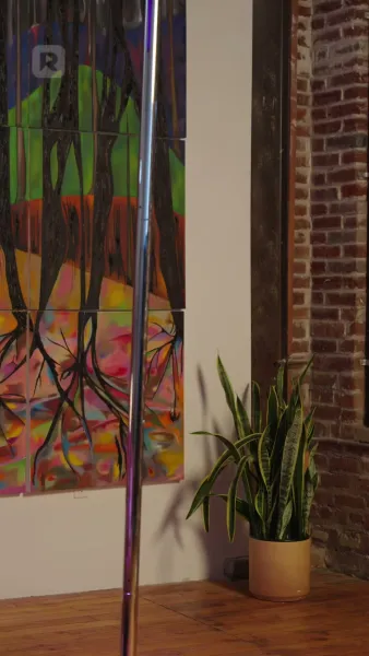 เจ้าหญิงเจ้าสาวหนี