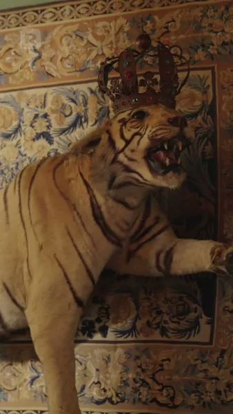 เจ้าหญิงเจ้าสาวหนี