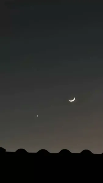 เจ้าสาวคืนชีพ การตามหาที่ไม่สิ้นสุดของท่านอัครมหาเศรษฐี