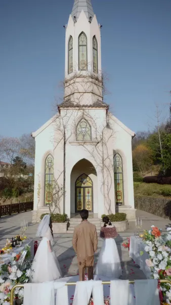 ดวงดาวเป็นพยานของเรื่องเรา