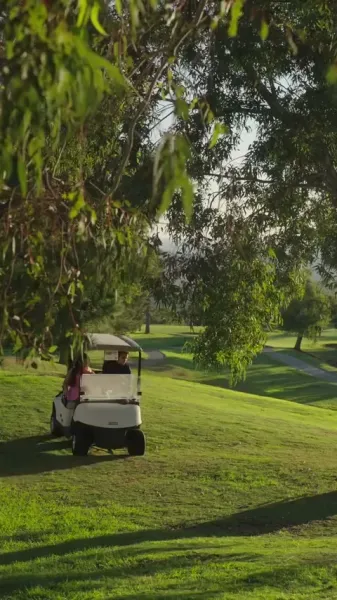 แสงจันทร์ที่เป็นแผล