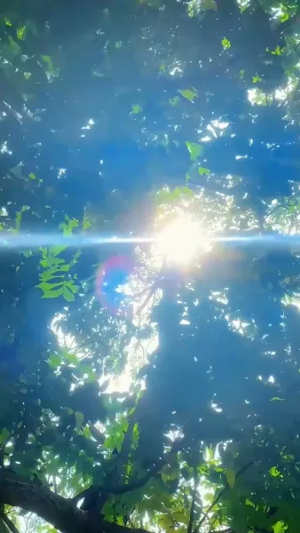 เข้าเคียงกับเจ้านายหลงสุรากรรม