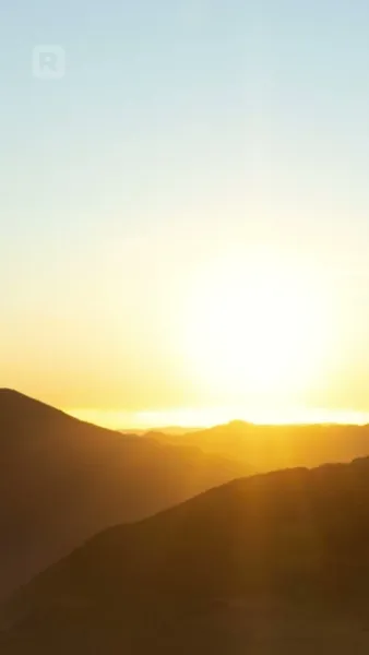 หลงรักซีอีโอ