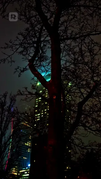 หลงรักซีอีโอ