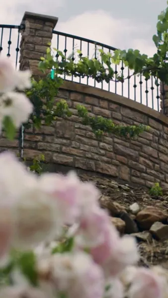 หลงรักซีอีโอ