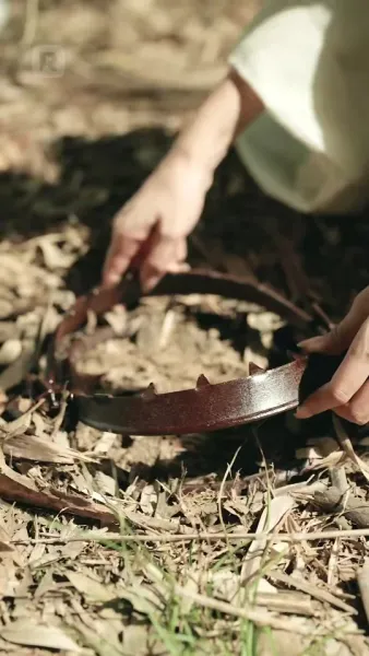 หญิงฉลาดเหนือใคร