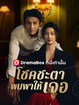 โชคชะตาพบพาให้เจอ(พากย์ไทย)