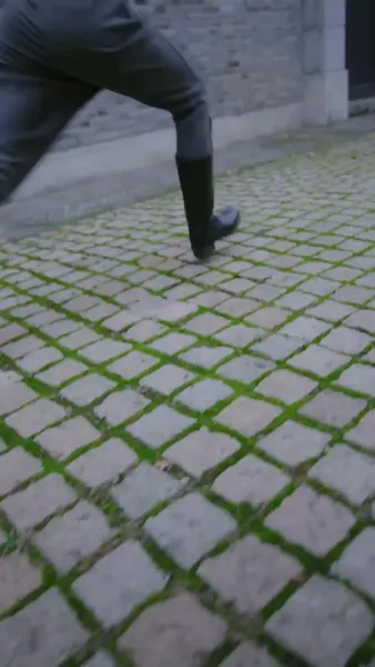 สวมรอยลวงใจ