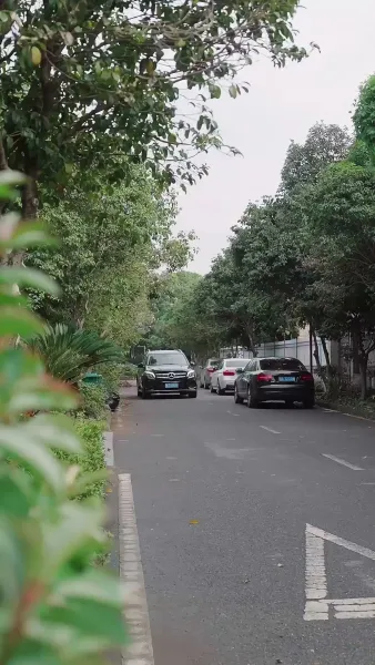 วิวาห์รักผิดตัว