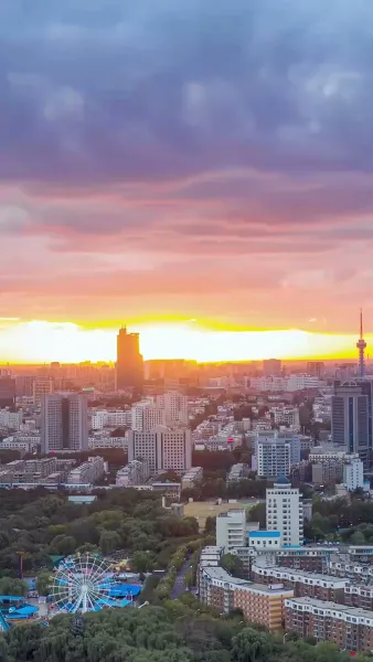 วิวาห์รักผิดตัว