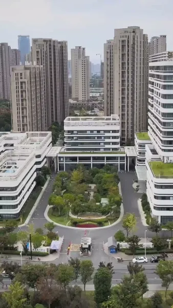 วิวาห์รักผิดตัว