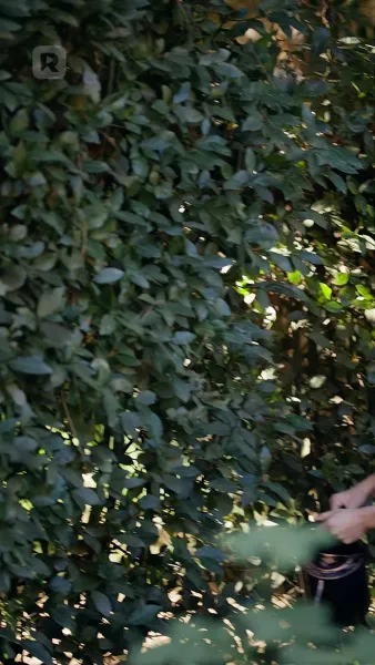 ตรวนรักอัลฟ่าศัตรูหัวใจ