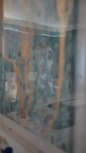 มิสเตอร์โบ คุณนายขายคุณเพื่อเงิน!