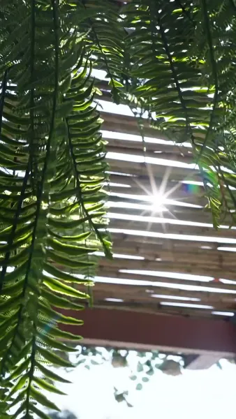 เธอคือของขวัญจากฟ้า