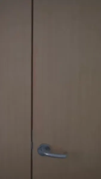 ชิงหลี่ไม่สิ้นรัก