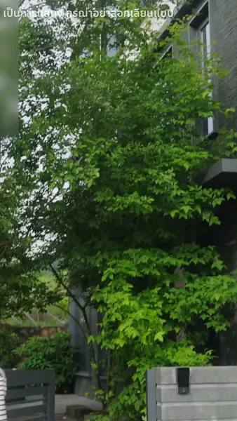 หากรักลึกเกินจะเอ่ย