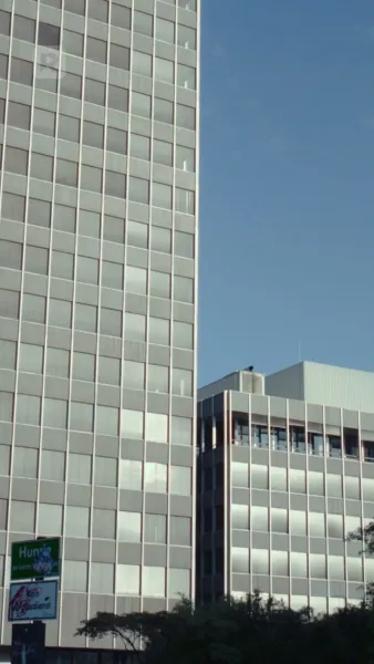 จับให้ได้ เจ้าบ่าวหนีงานแต่ง