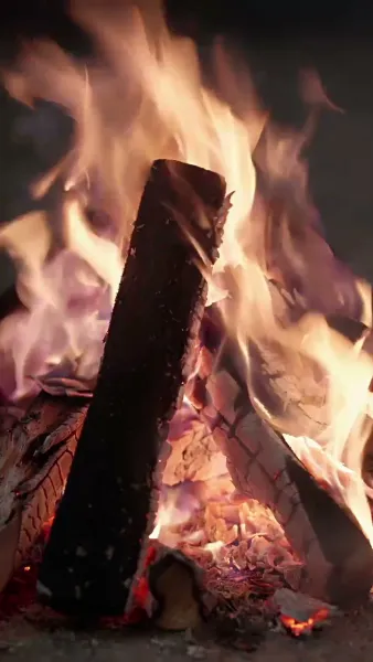 ดอกไห่ถังใต้บัลลังก์เลือด