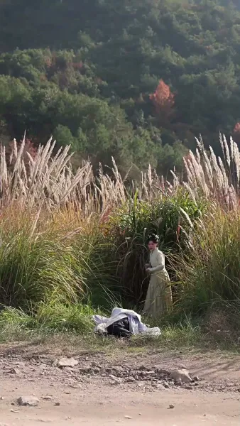 ดอกไห่ถังใต้บัลลังก์เลือด