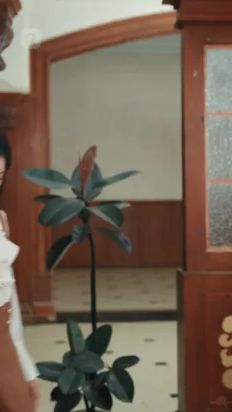 คำว่ารักนิรันดร์