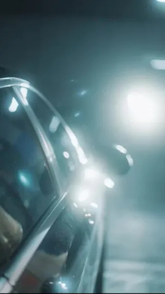 เลี้ยงให้เชื่อง