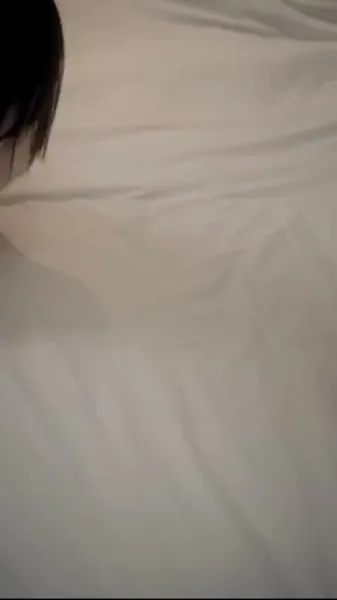 เลี้ยงให้เชื่อง