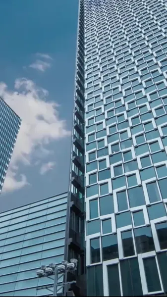 เลี้ยงให้เชื่อง