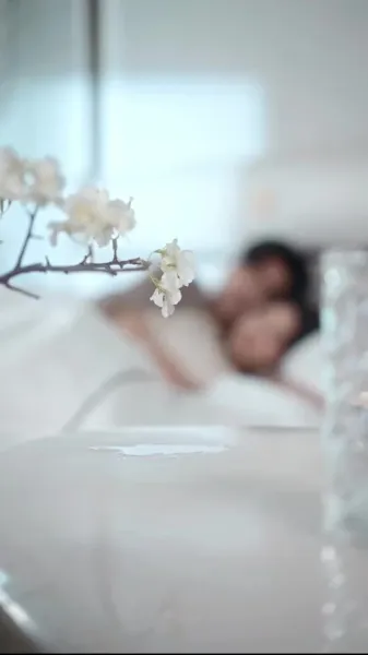 เลี้ยงให้เชื่อง