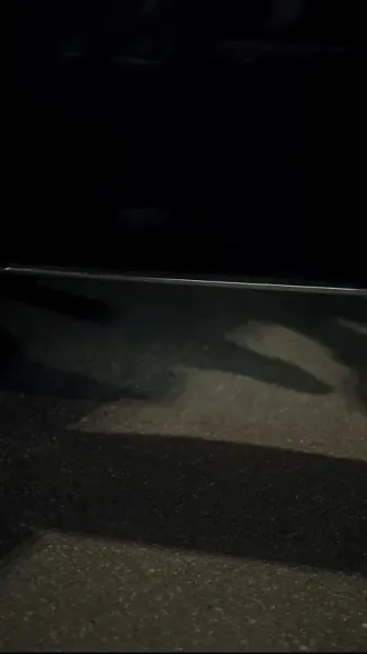 เลี้ยงให้เชื่อง