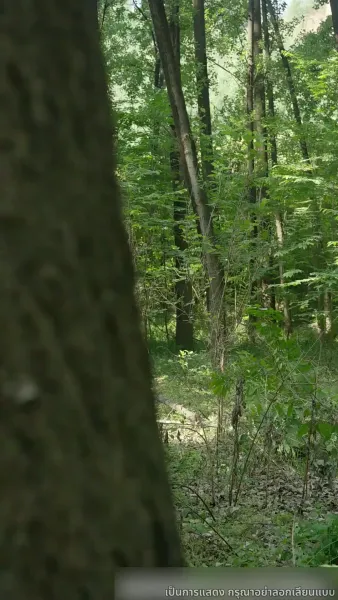 ข้าคือผู้บำเพ็ญเซียน