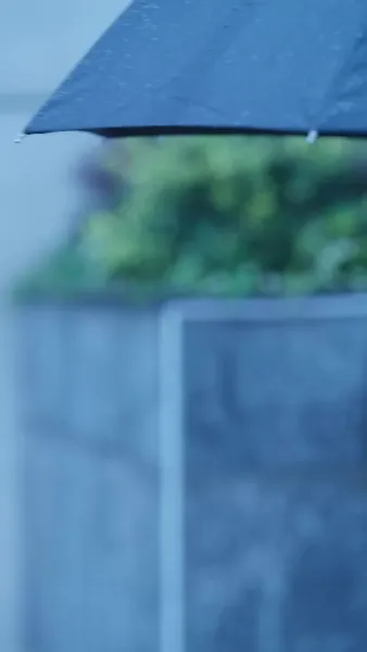 ย่าเยาว์วัยปฏิวิตัวงศ์ตระกูล 3