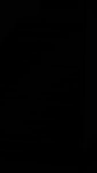 ย่าเยาว์วัยปฏิวิตัวงศ์ตระกูล 3