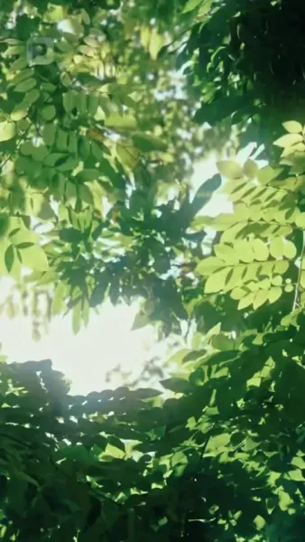 ฉันไม่ใช่นางเอกสายยอม