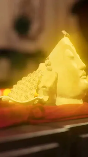 โชคลาภพาหนูมาหาแม่