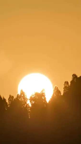 โชคลาภพาหนูมาหาแม่