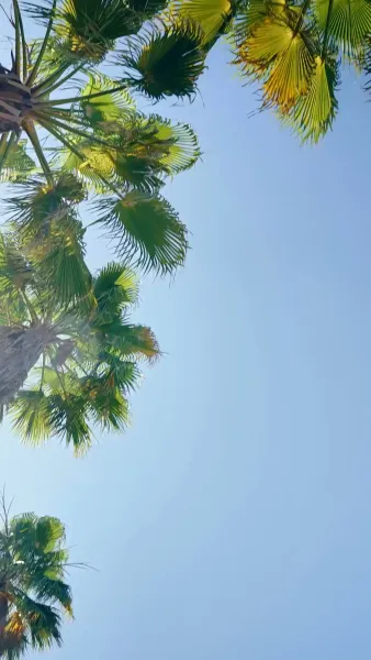 คบหลอก ๆ กับศัตรูลูกคุณหนู