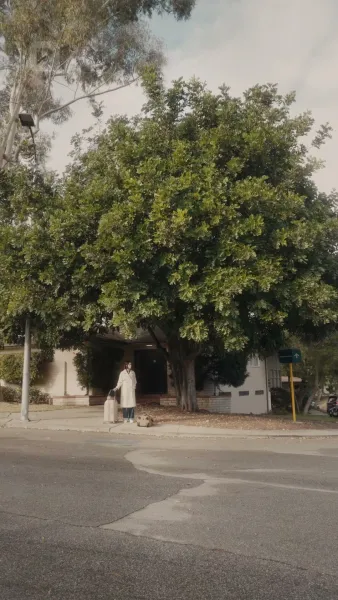 คุณคุณหงส์สอนฉันรัก