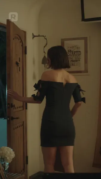 คุณคุณหงส์สอนฉันรัก