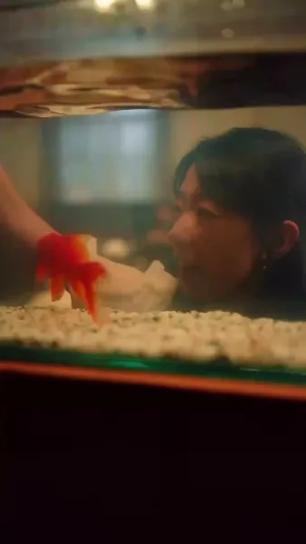 หวานใจนายมาเฟีย