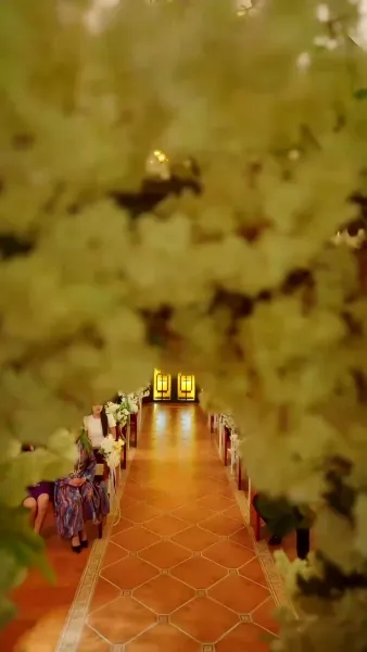 หวานใจนายมาเฟีย