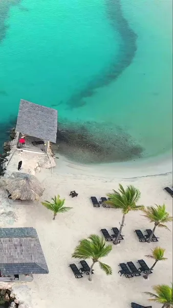 เช็คอิน หัวใจ