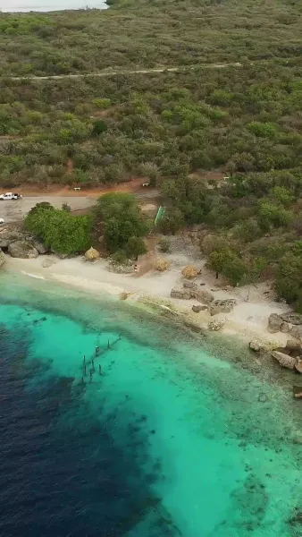 เช็คอิน หัวใจ