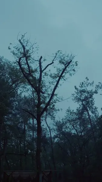 หมอหญิงพลิกเกมรัก