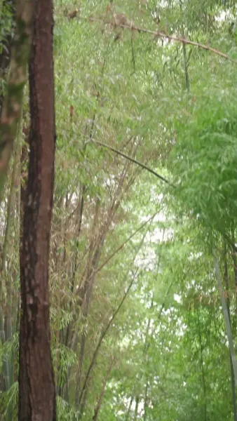 หมอหญิงพลิกเกมรัก