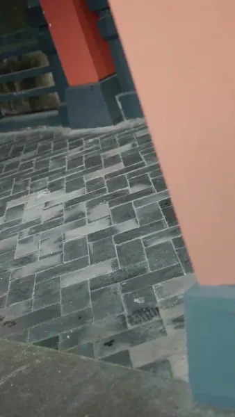 ชะตารักนางหงส์