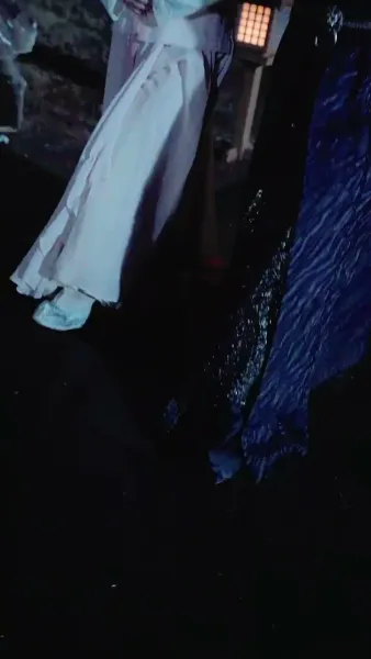 ชะตารักนางหงส์